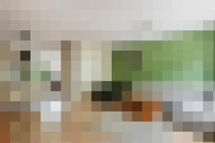 Jan van der Gripstraat 28 Tiel thumbnail 7