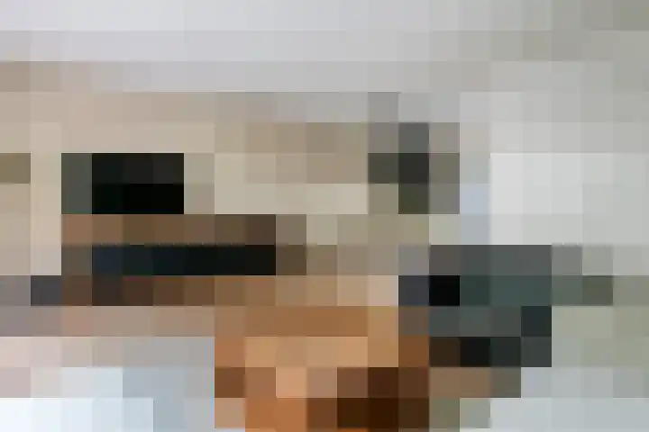 Jan van der Gripstraat 28 Tiel thumbnail 8