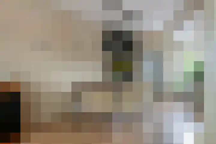 Jan van der Gripstraat 28 Tiel thumbnail 9