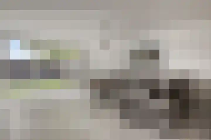 Jan van der Gripstraat 32 Tiel thumbnail 10