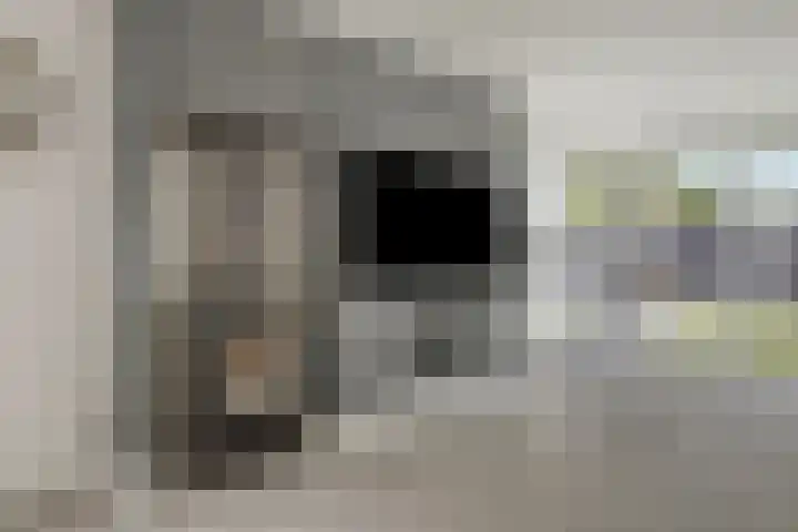Jan van der Gripstraat 32 Tiel thumbnail 12