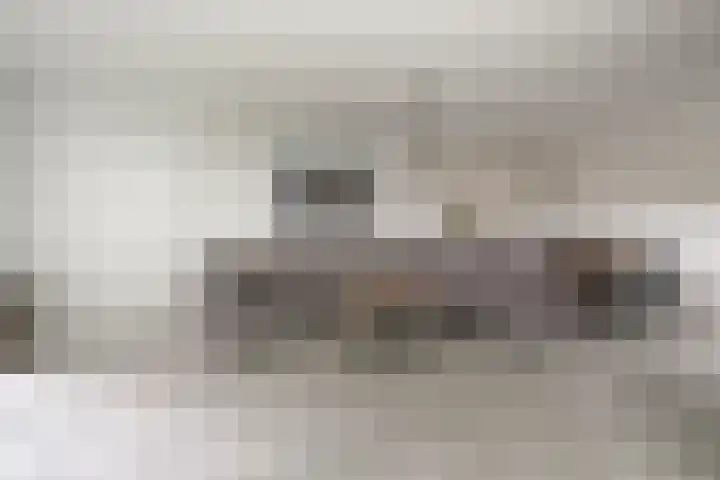 Jan van der Gripstraat 32 Tiel thumbnail 13