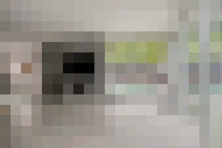 Jan van der Gripstraat 32 Tiel thumbnail 14