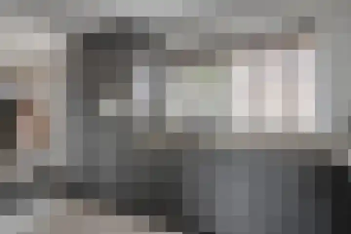 Jan van der Gripstraat 32 Tiel thumbnail 18