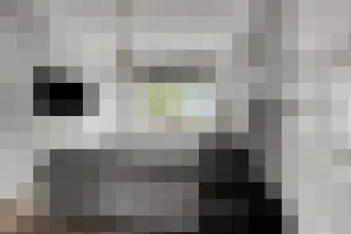 Jan van der Gripstraat 32 Tiel thumbnail 23
