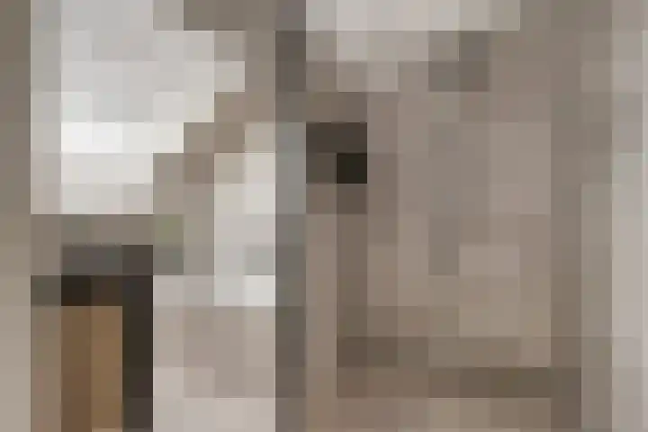 Jan van der Gripstraat 32 Tiel thumbnail 25