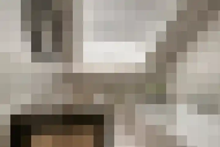 Jan van der Gripstraat 32 Tiel thumbnail 26