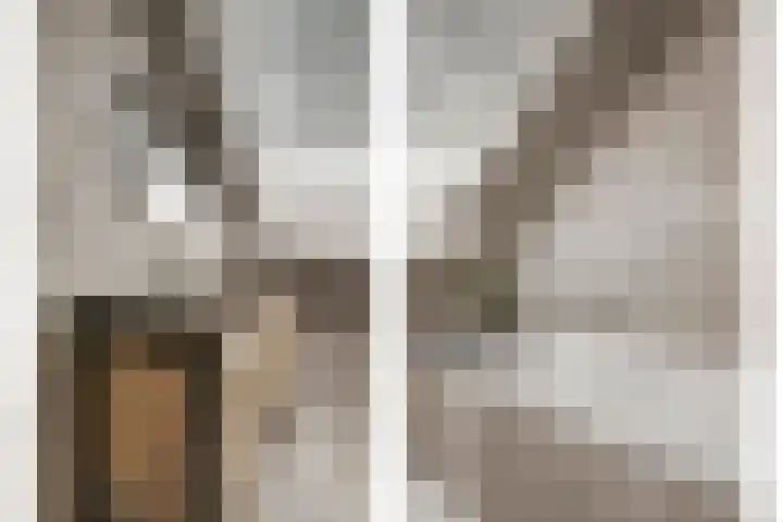 Jan van der Gripstraat 32 Tiel thumbnail 27