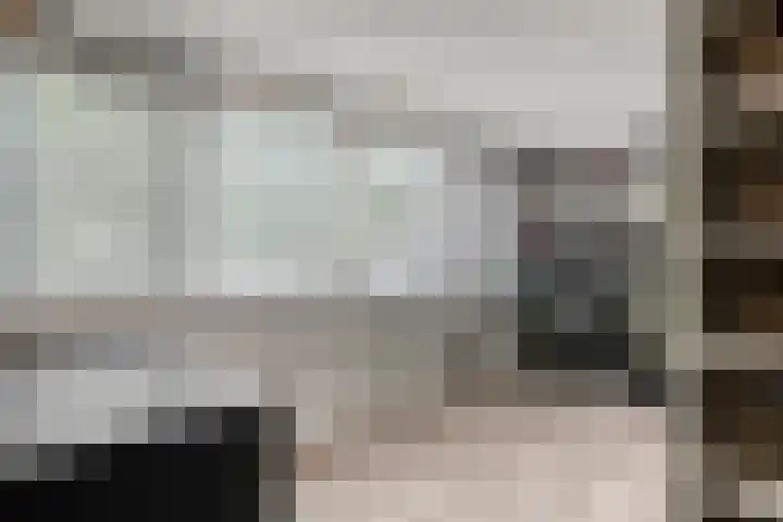 Jan van der Gripstraat 32 Tiel thumbnail 31