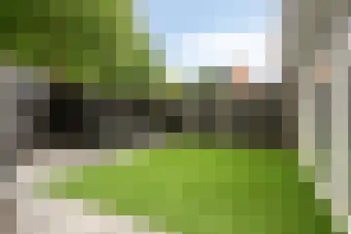Jan van der Gripstraat 32 Tiel thumbnail 32