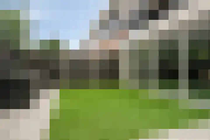 Jan van der Gripstraat 32 Tiel thumbnail 33