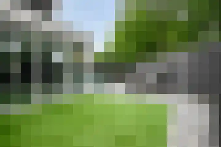 Jan van der Gripstraat 32 Tiel thumbnail 34