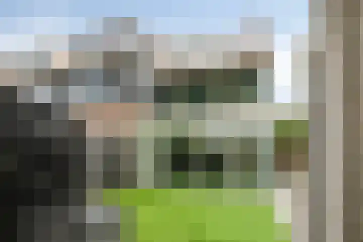 Jan van der Gripstraat 32 Tiel thumbnail 35
