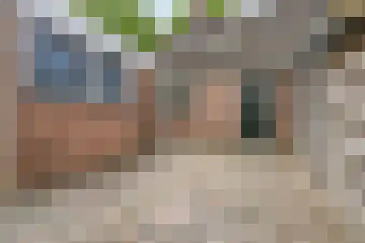 Jan van der Gripstraat 32 Tiel thumbnail 4