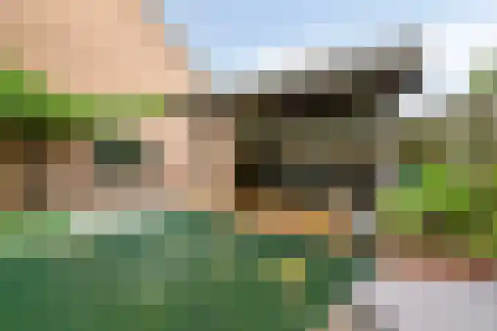Jan van der Gripstraat 32 Tiel thumbnail 41