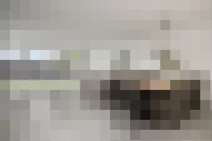 Jan van der Gripstraat 32 Tiel thumbnail 8