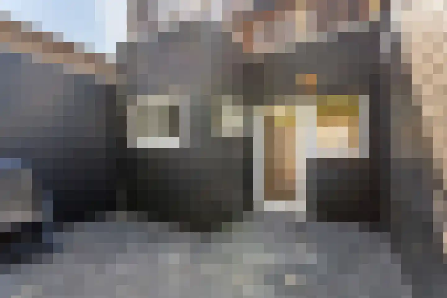 Jan van der Heijdenstraat 10 Gouda thumbnail 17