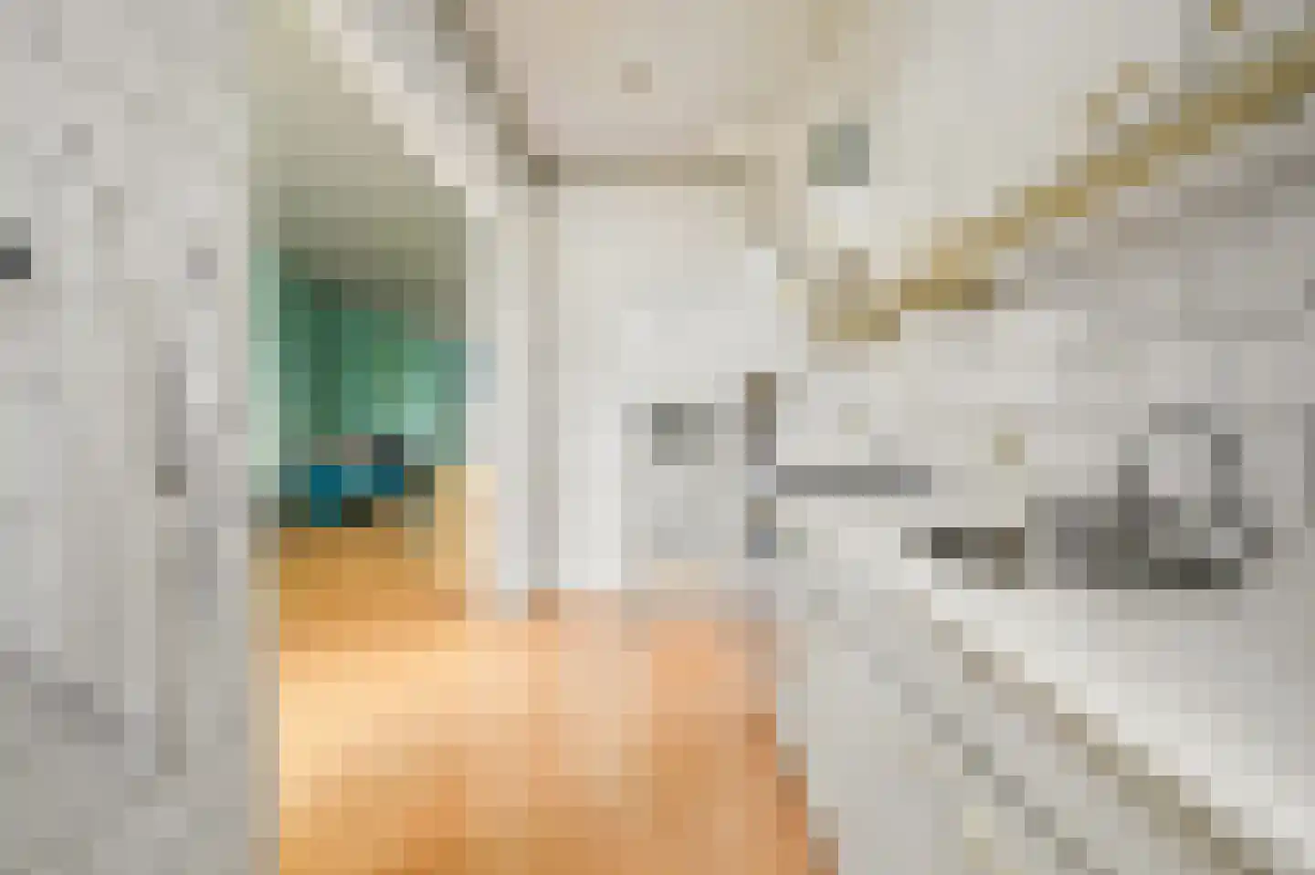 Jan van der Heijdenstraat 102 Den Haag thumbnail 15