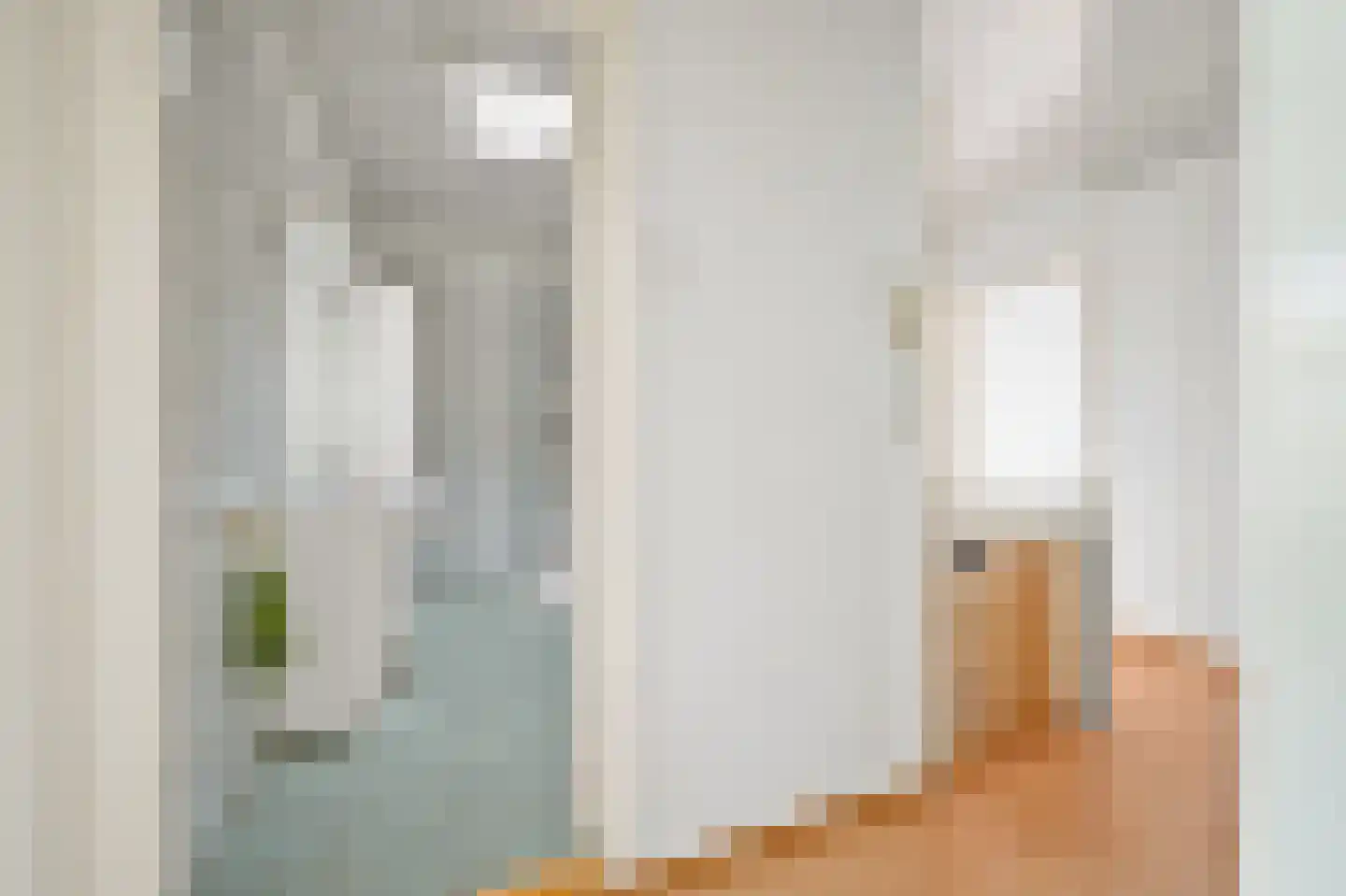 Jan van der Heijdenstraat 102 Den Haag thumbnail 19