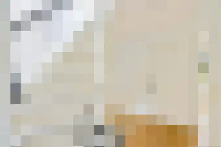 Jan van der Heijdenstraat 103 Hilversum thumbnail 17