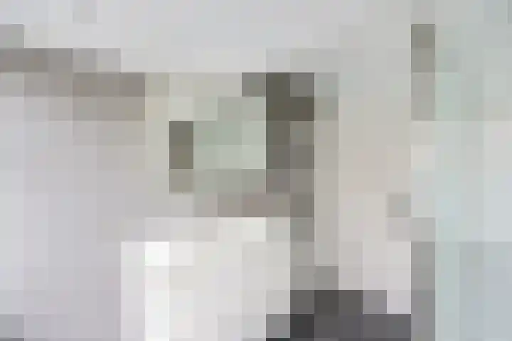 Jan van der Heijdenstraat 103 Hilversum thumbnail 27