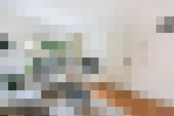 Jan van der Heijdenstraat 103 Hilversum thumbnail 8