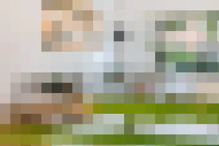 Jan van der Heijdenstraat 103 Hilversum thumbnail 9