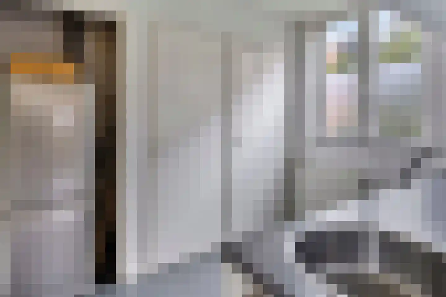 Jan van der Heijdenstraat 123 Hilversum thumbnail 19