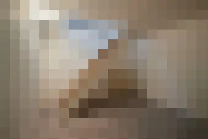 Jan van der Heijdenstraat 15 Hilversum thumbnail 100