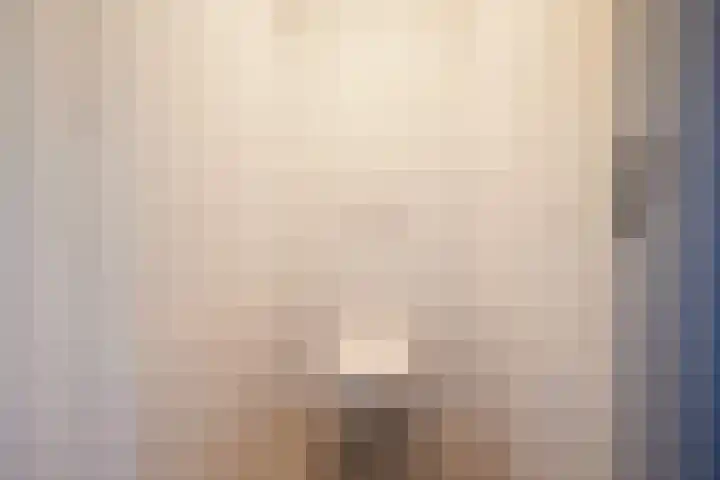 Jan van der Heijdenstraat 15 Hilversum thumbnail 38