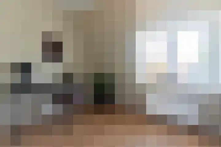 Jan van der Heijdenstraat 15 Hilversum thumbnail 39