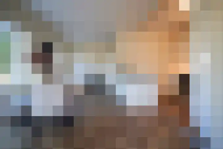 Jan van der Heijdenstraat 15 Hilversum thumbnail 5
