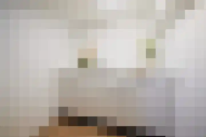 Jan van der Heijdenstraat 15 Hilversum thumbnail 54