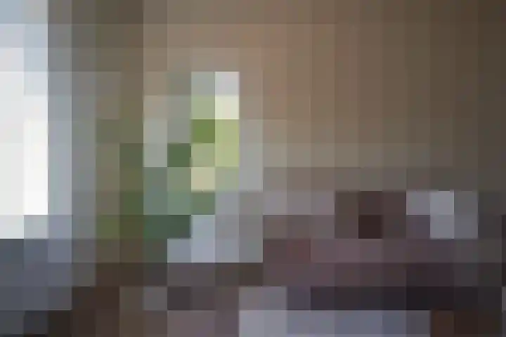 Jan van der Heijdenstraat 15 Hilversum thumbnail 8