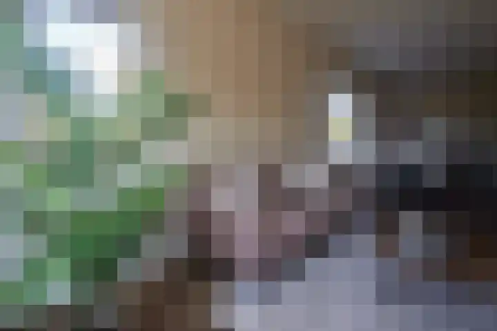 Jan van der Heijdenstraat 15 Hilversum thumbnail 9