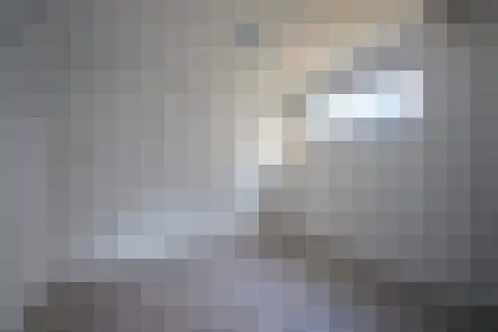 Jan van der Heijdenstraat 15 Hilversum thumbnail 91