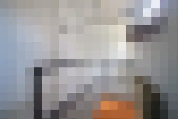 Jan van der Heijdenstraat 15 Hilversum thumbnail 98