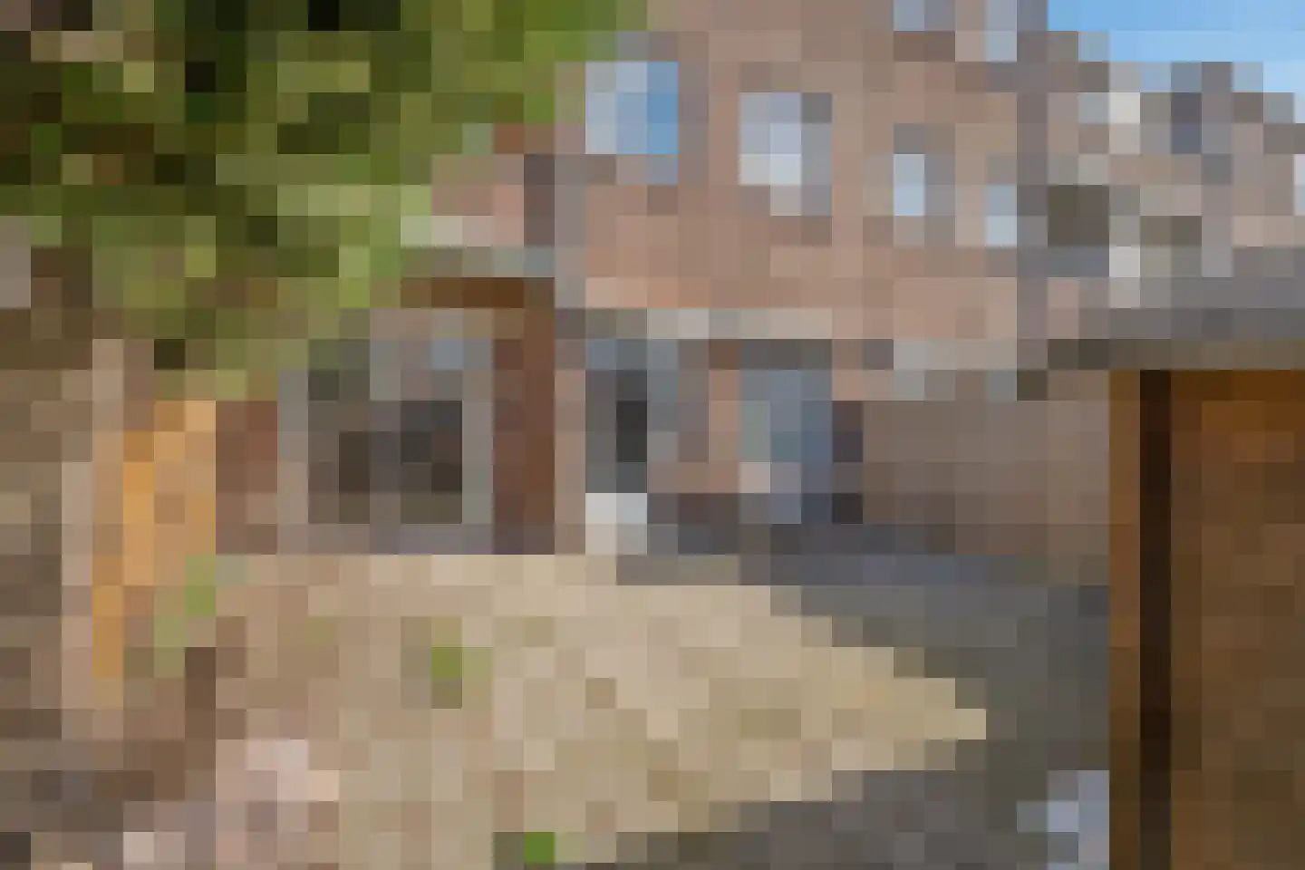 Jan van der Heijdenstraat 154 Den Haag thumbnail 25