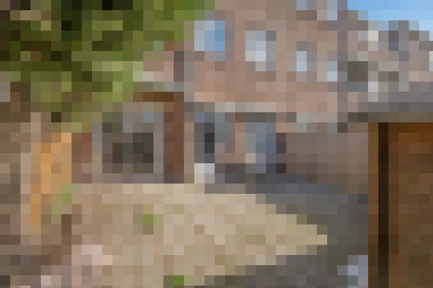 Jan van der Heijdenstraat 154 Den Haag thumbnail 25