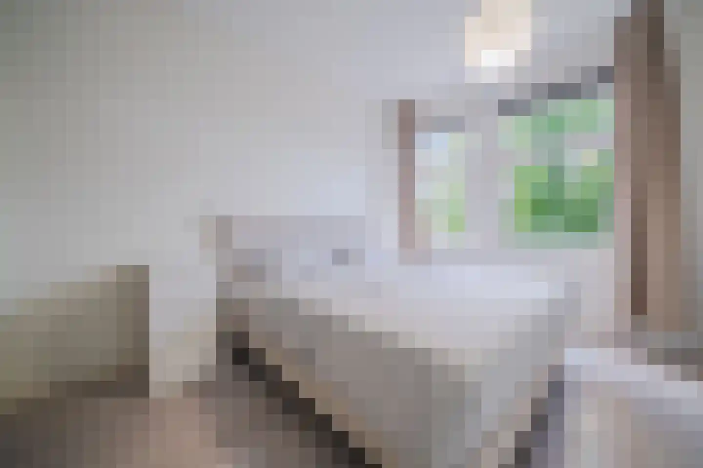 Jan van der Heijdenstraat 17 Den Haag thumbnail 16