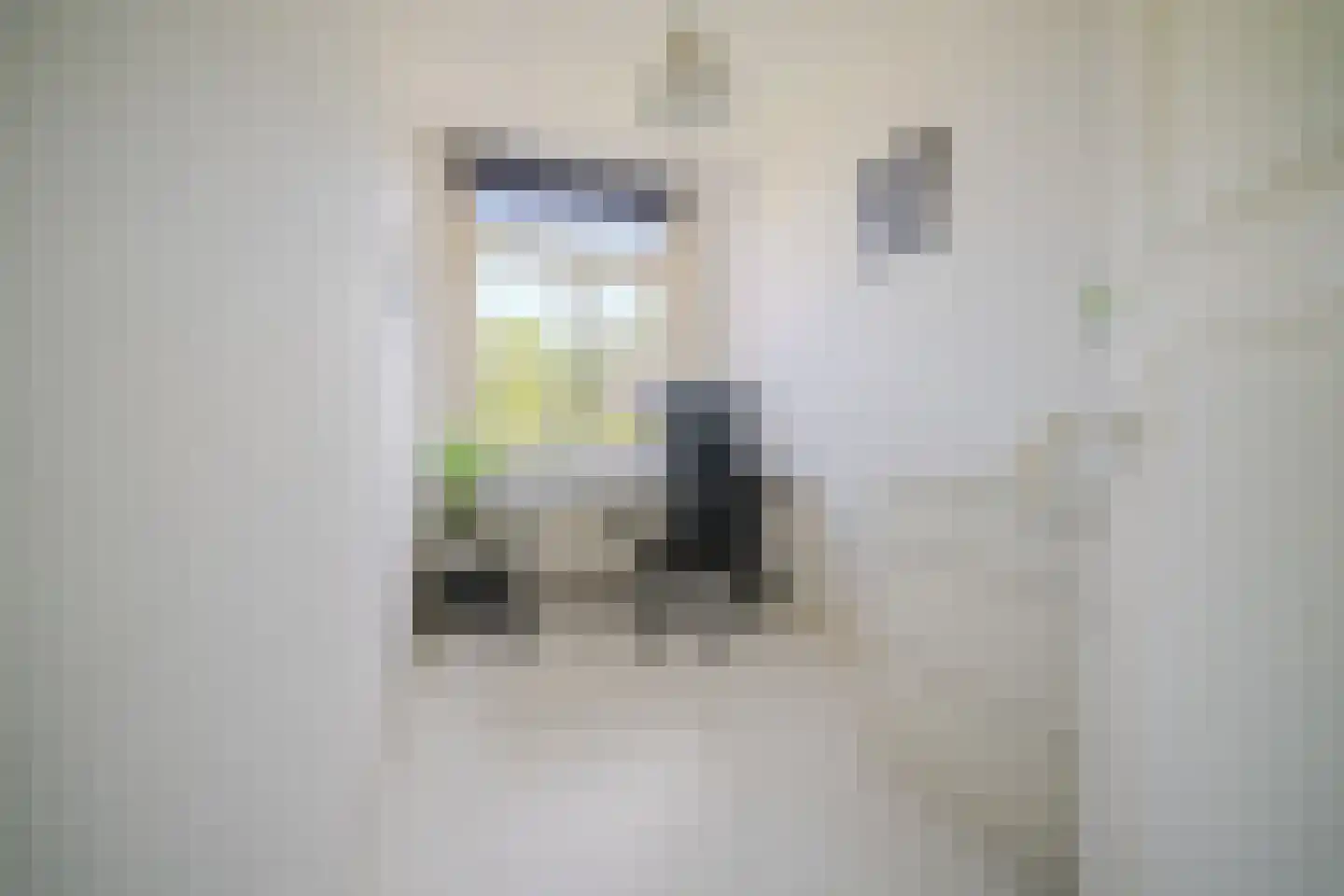 Jan van der Heijdenstraat 17 Den Haag thumbnail 18