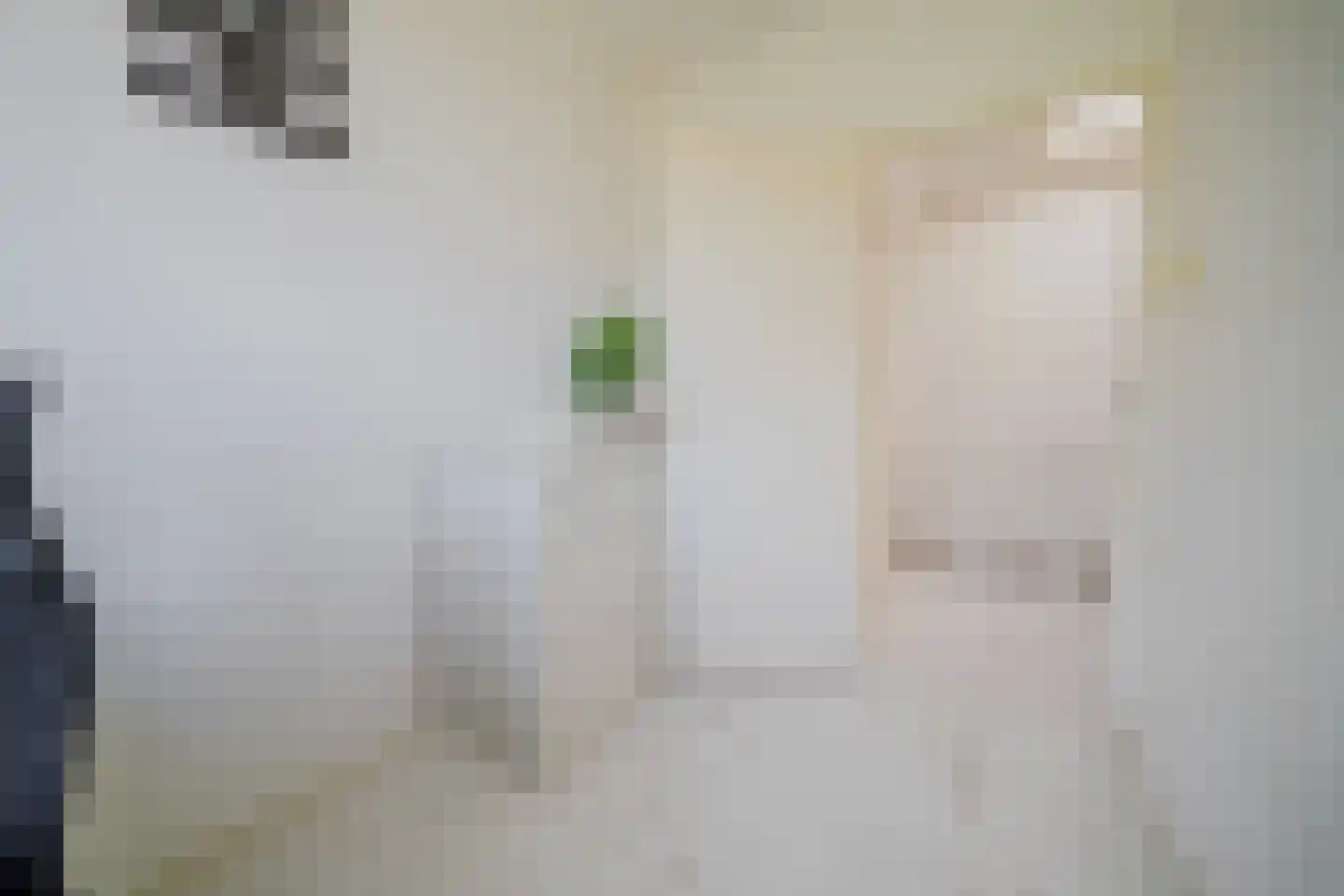Jan van der Heijdenstraat 17 Den Haag thumbnail 19