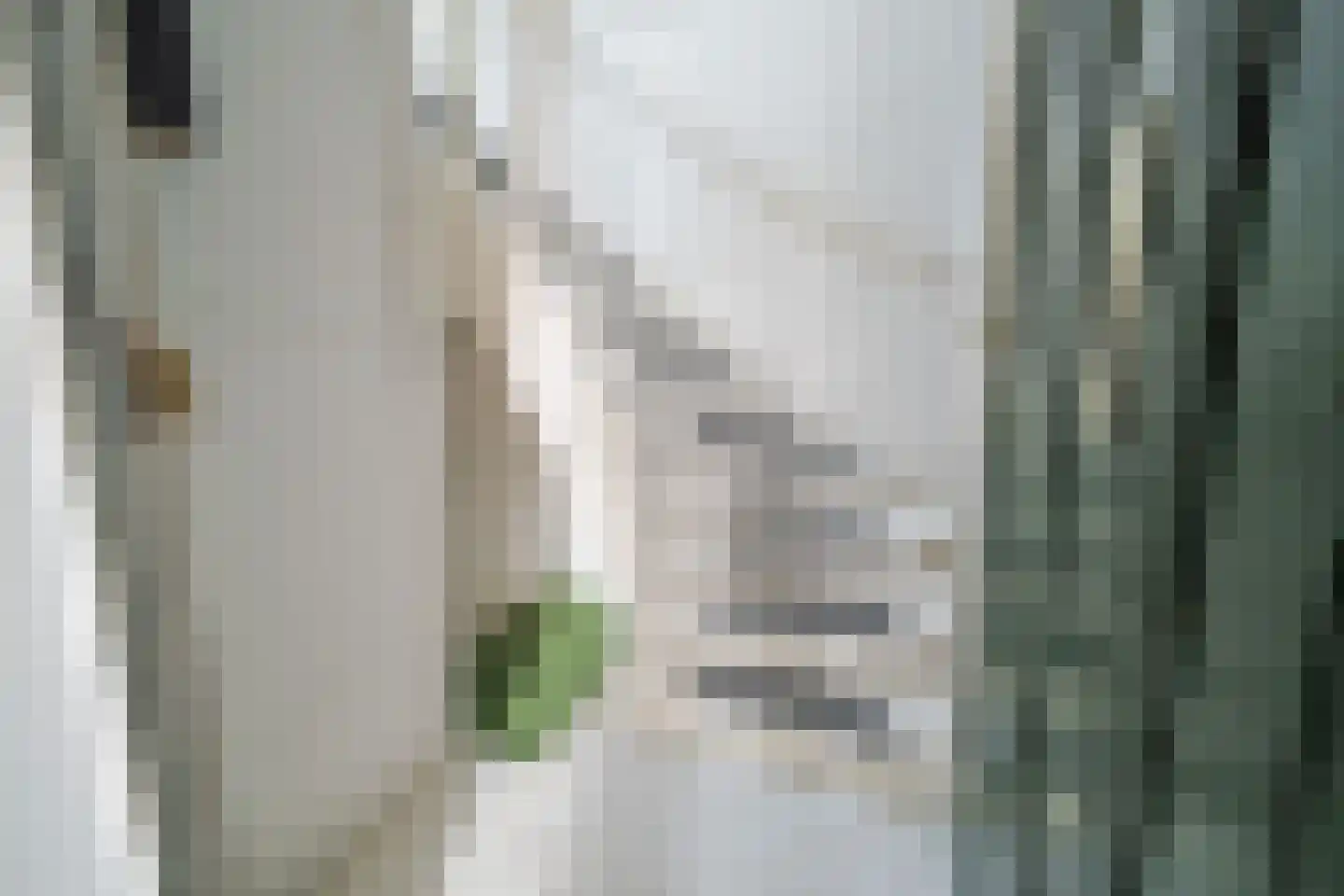 Jan van der Heijdenstraat 17 Den Haag thumbnail 7