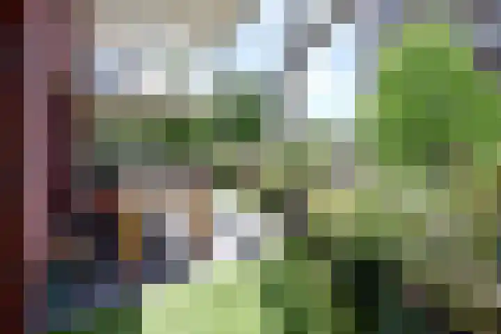 Jan van der Heijdenstraat 180 K Hilversum thumbnail 8