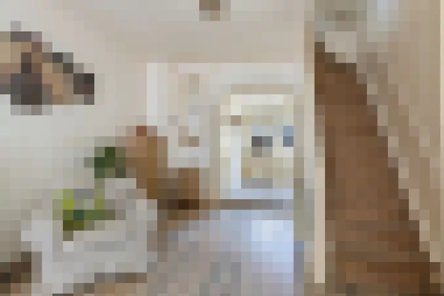 Jan van der Heijdenstraat 19 Gouda thumbnail 16