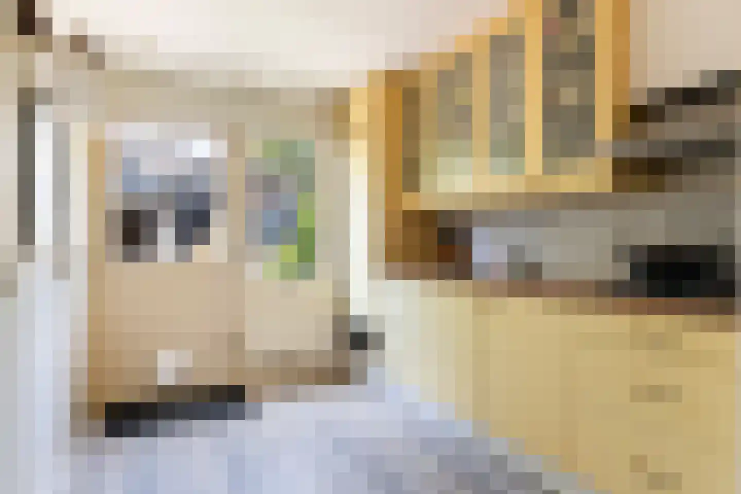 Jan van der Heijdenstraat 19 Gouda thumbnail 17