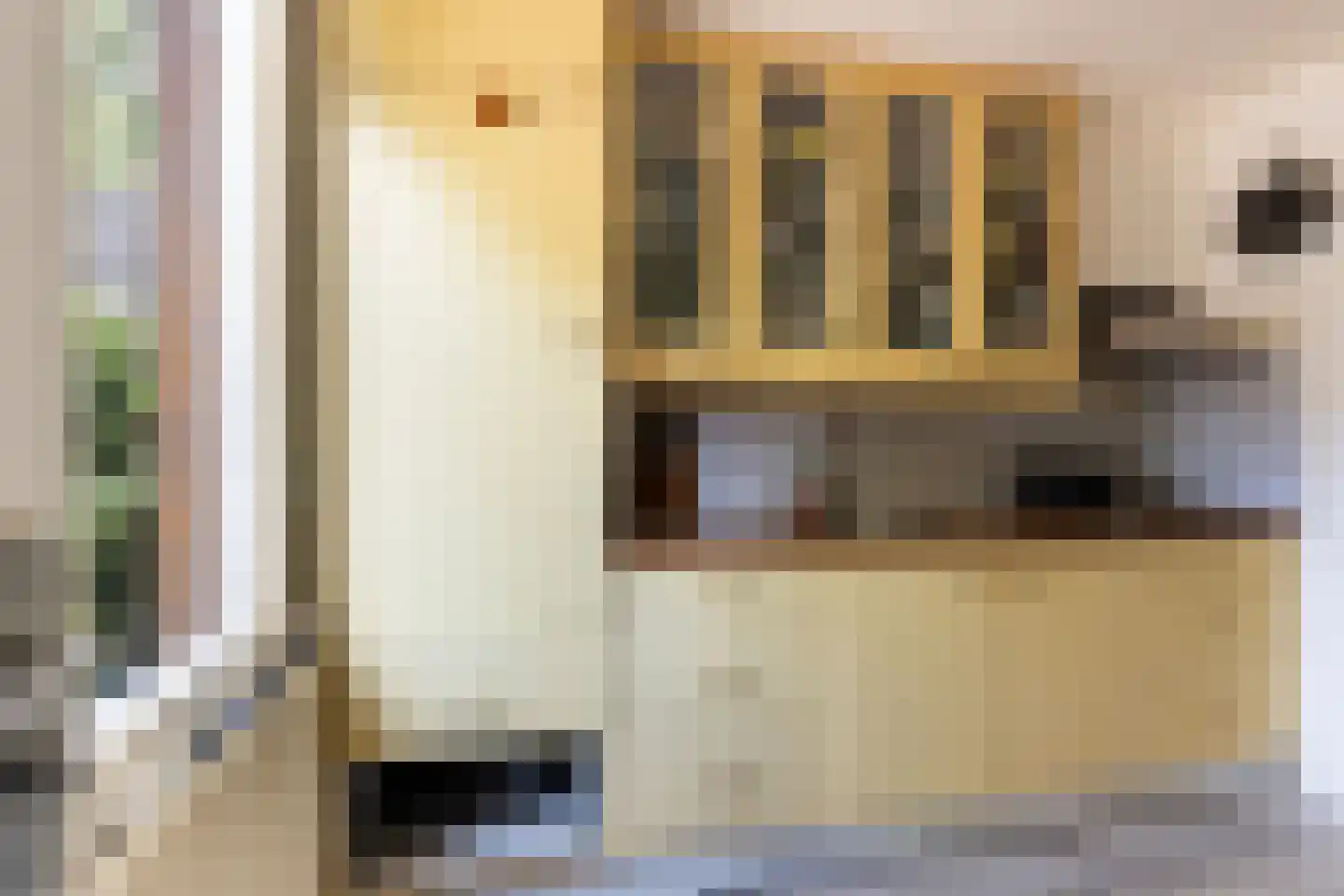 Jan van der Heijdenstraat 19 Gouda thumbnail 18