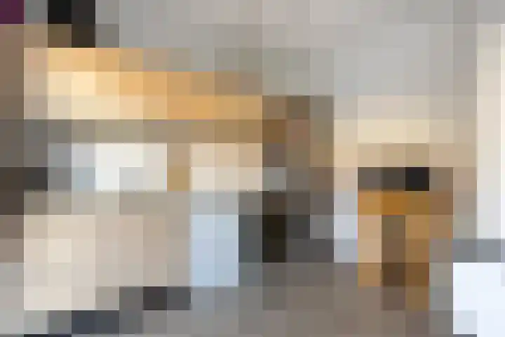 Jan van der Heijdenstraat 195 Hilversum thumbnail 13