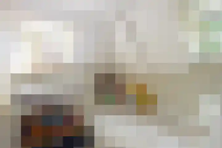 Jan van der Heijdenstraat 195 Hilversum thumbnail 18