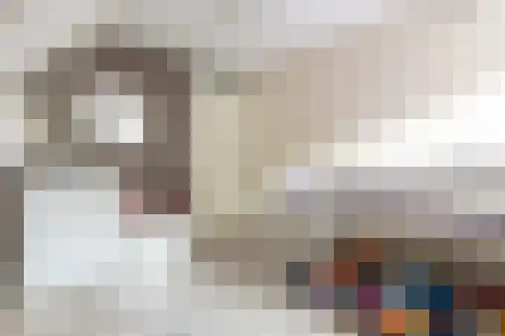 Jan van der Heijdenstraat 195 Hilversum thumbnail 20